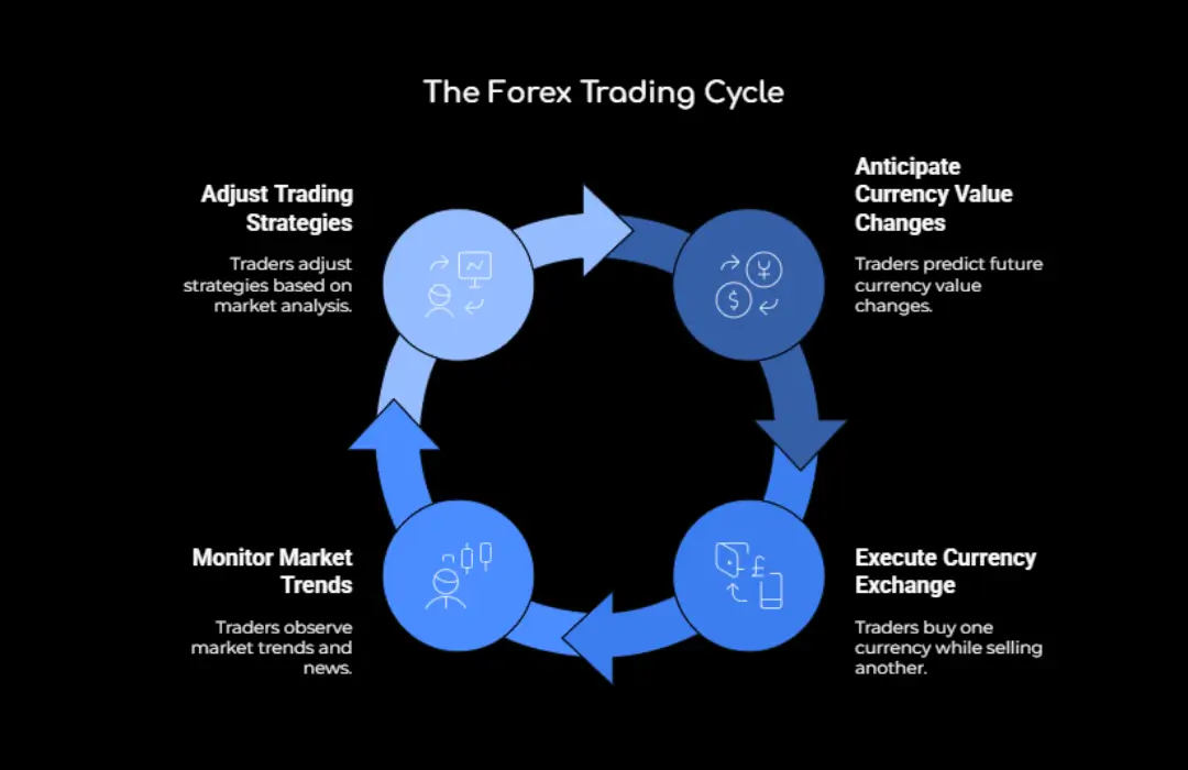 Forex Trading Cycle