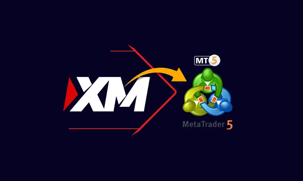 xm-mt4-mt5-members-area-login