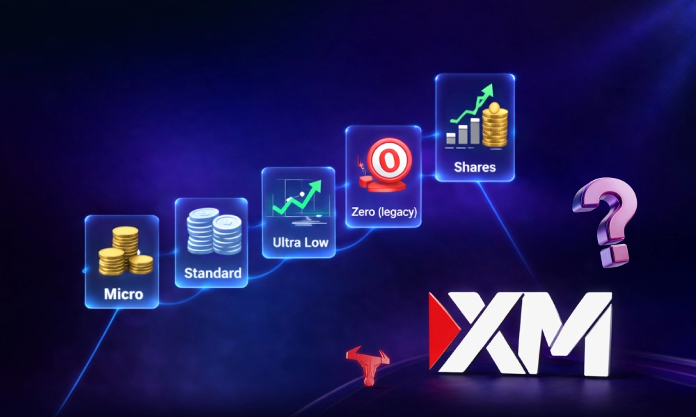 Which Account Type is Best in XM?