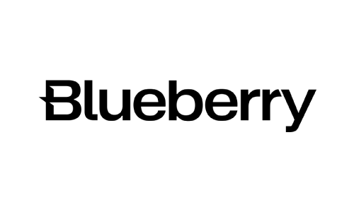 BlueberryMarkets Logo
